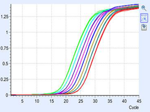 qpcr-big