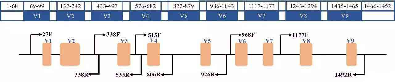 16S- 16S-