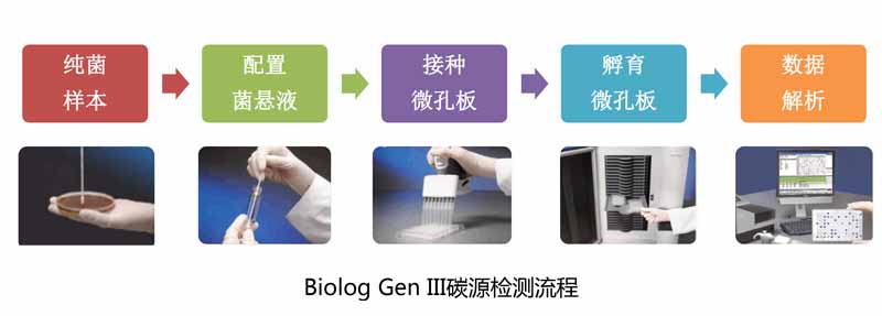 gen III liucheng gen III liucheng